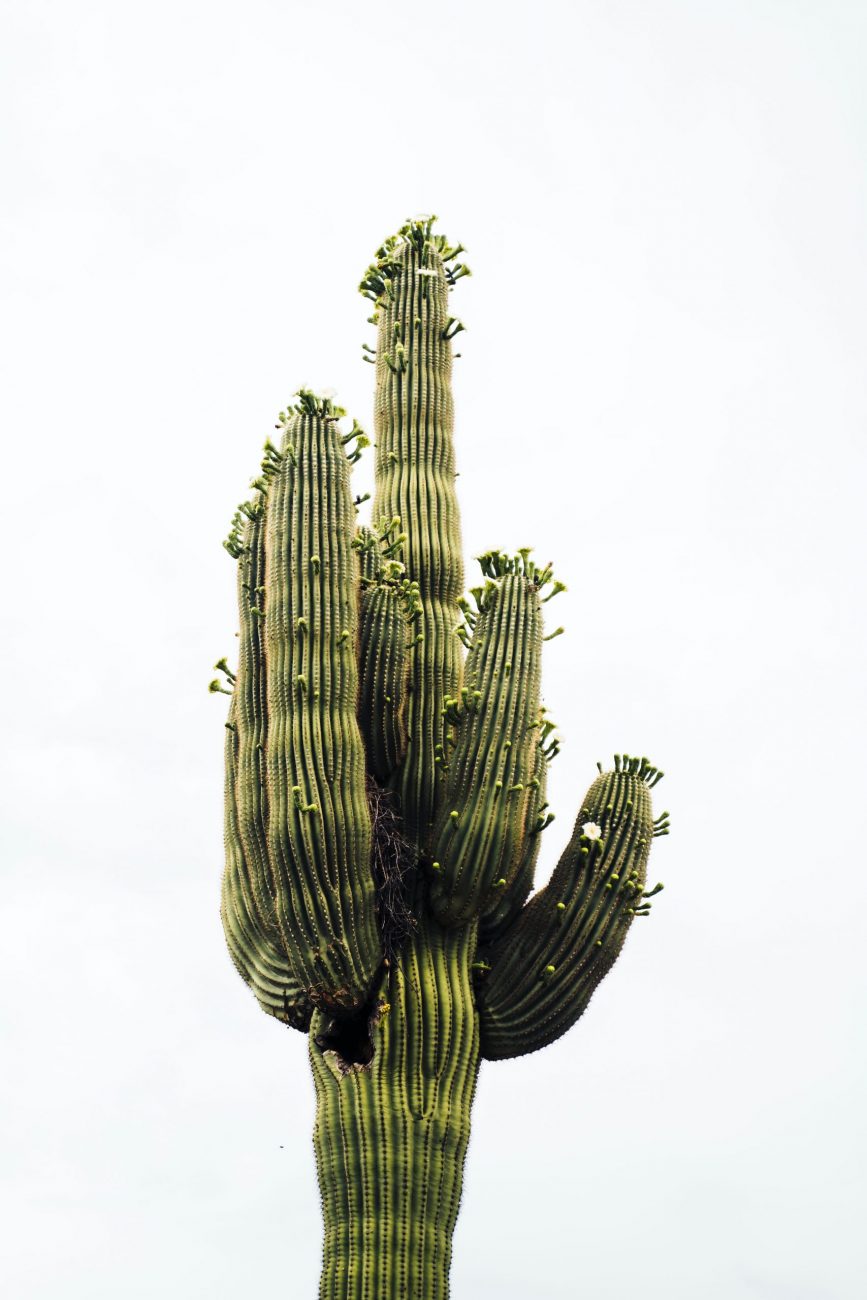 Gila Bend