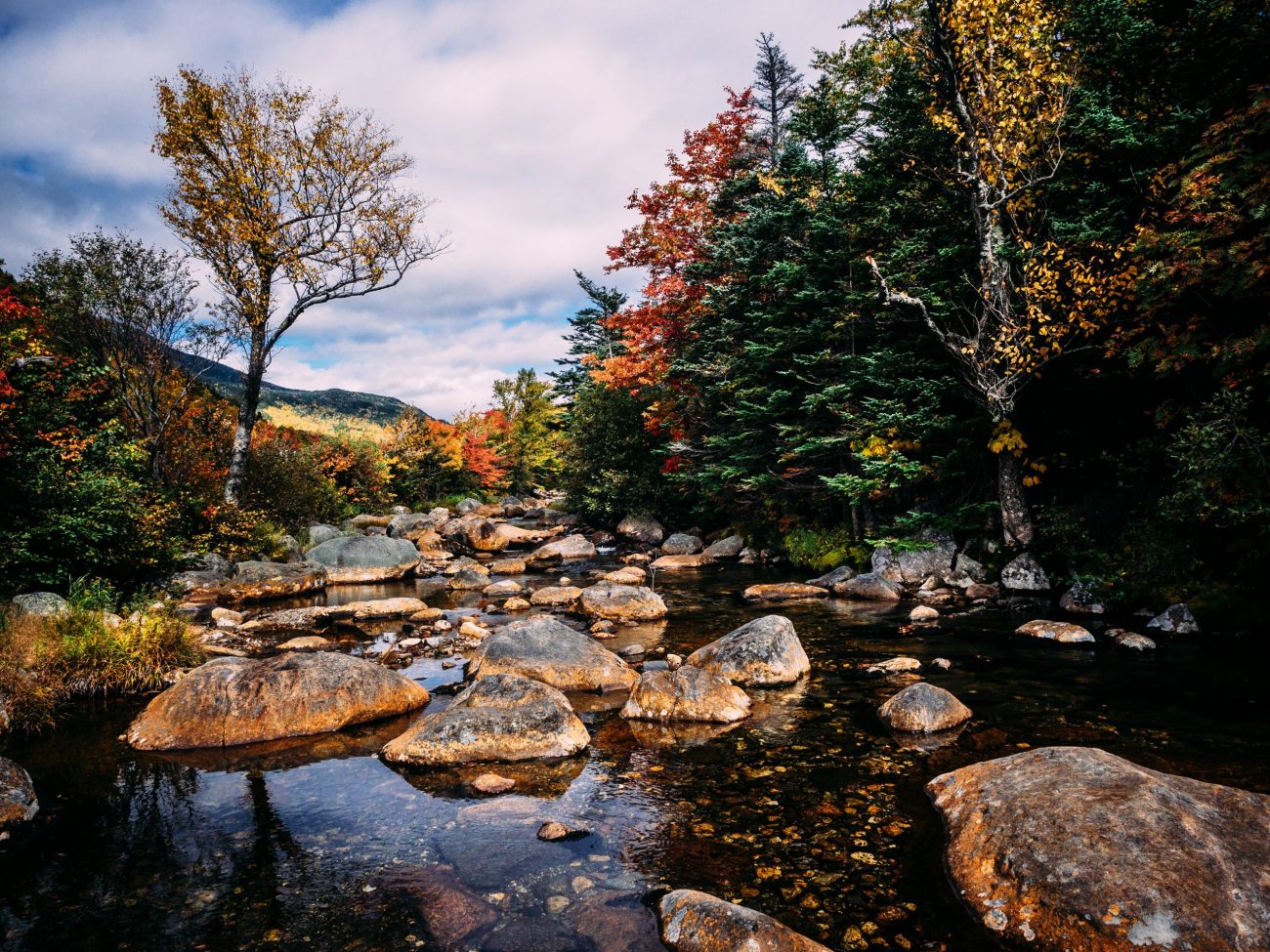 White Mountain National Forest, Gorham, United States-unsplash