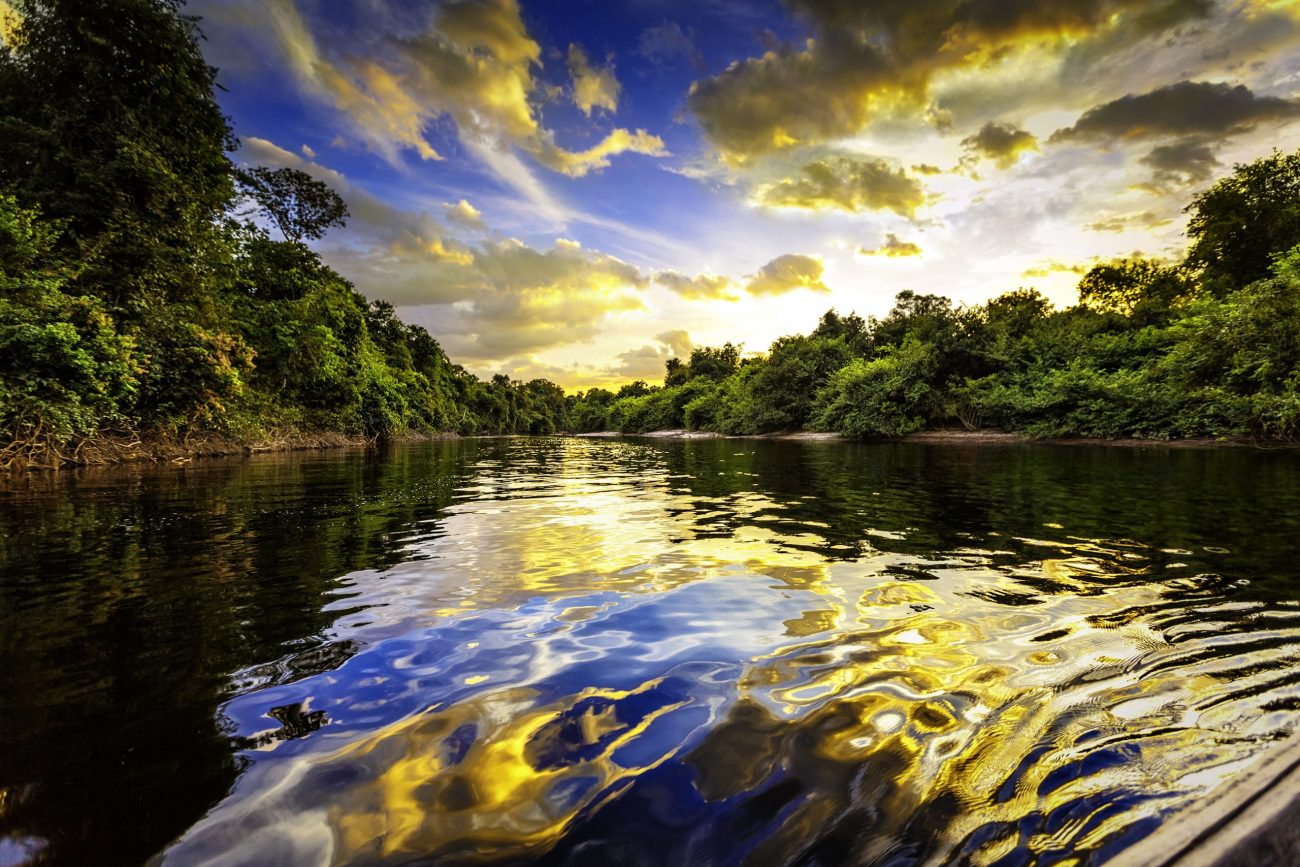 Dramatic landscape on a river in the amazon state Venezuela