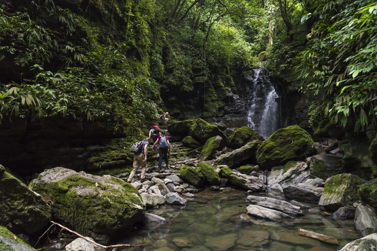 Cuyabeno Reserve, Amazonie