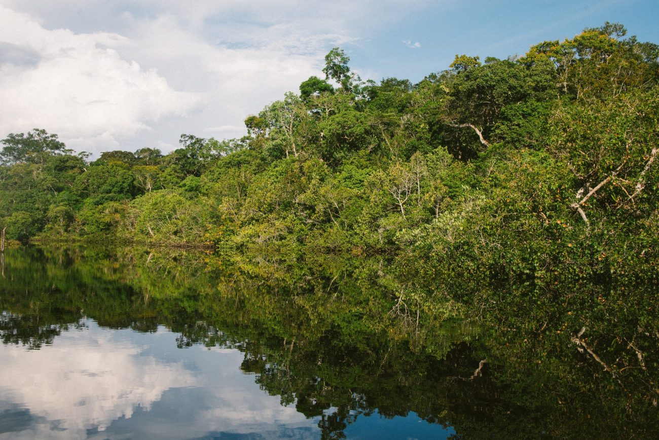 Cuyabeno Reserve, Amazonie