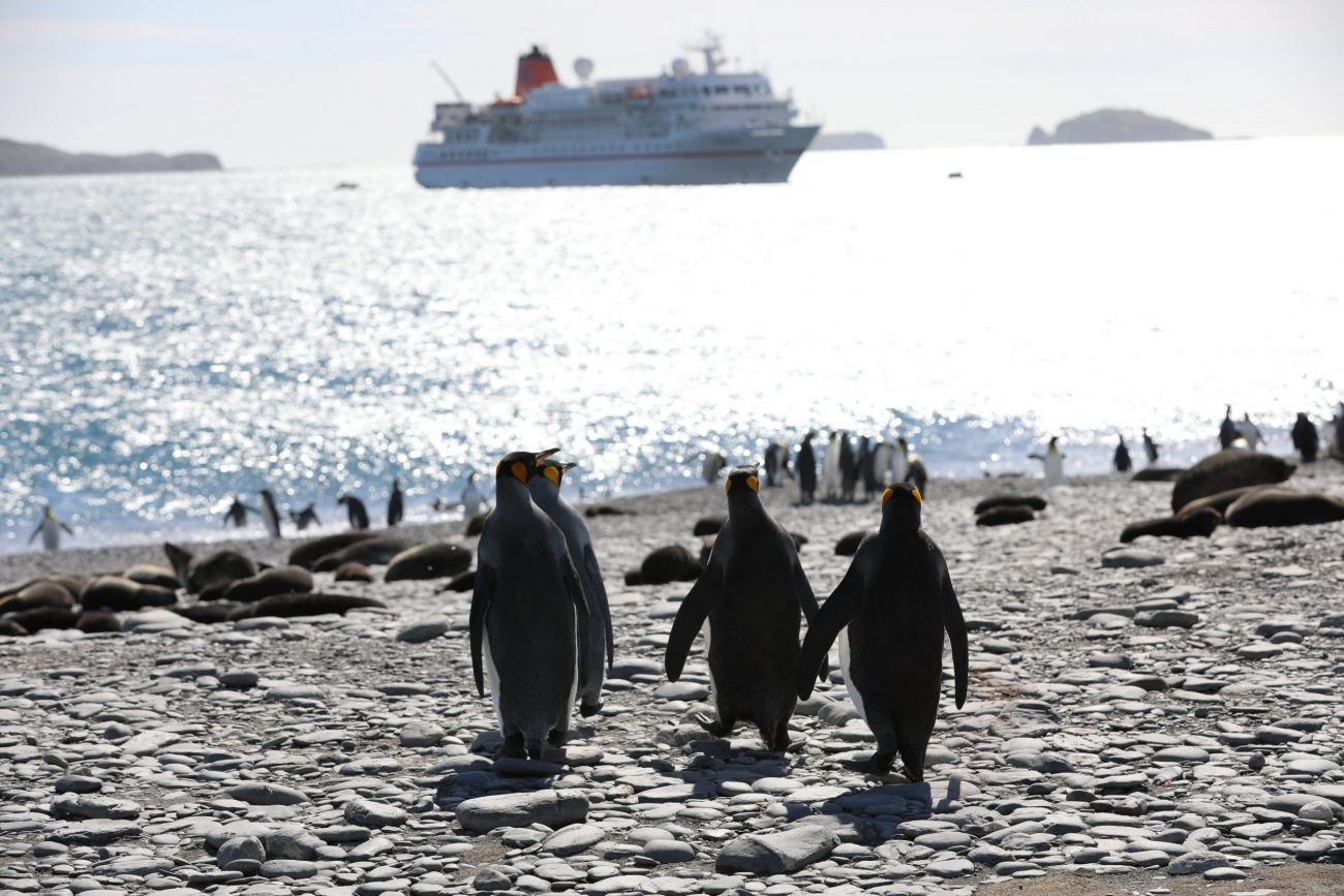 Antarctica-unsplash (10)