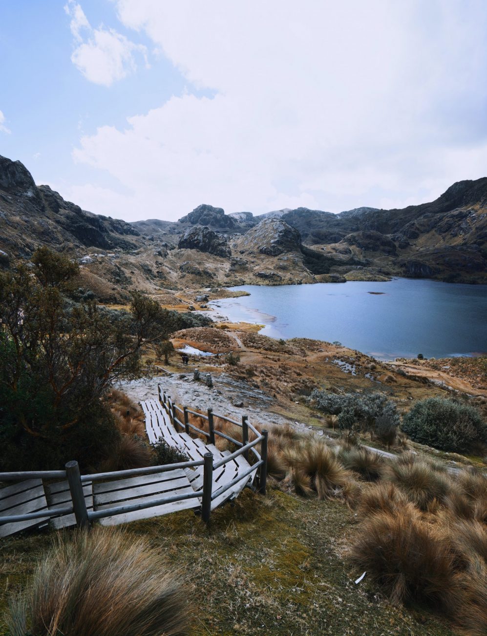 NP Cajas, Cuenca