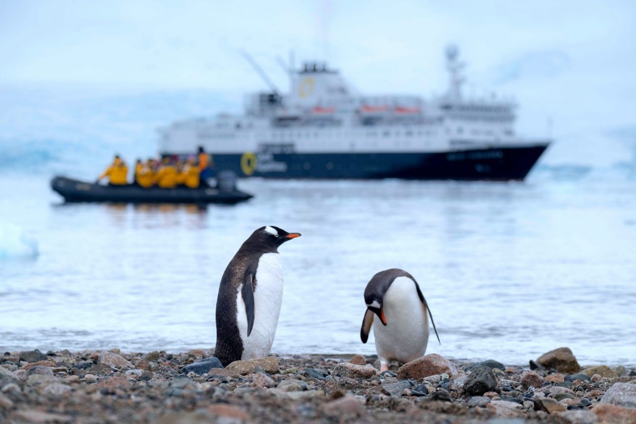 Danco Island, Antarctica-unsplash