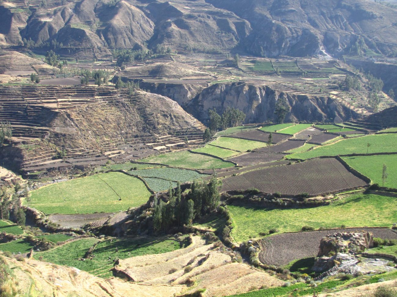 Colca canyon