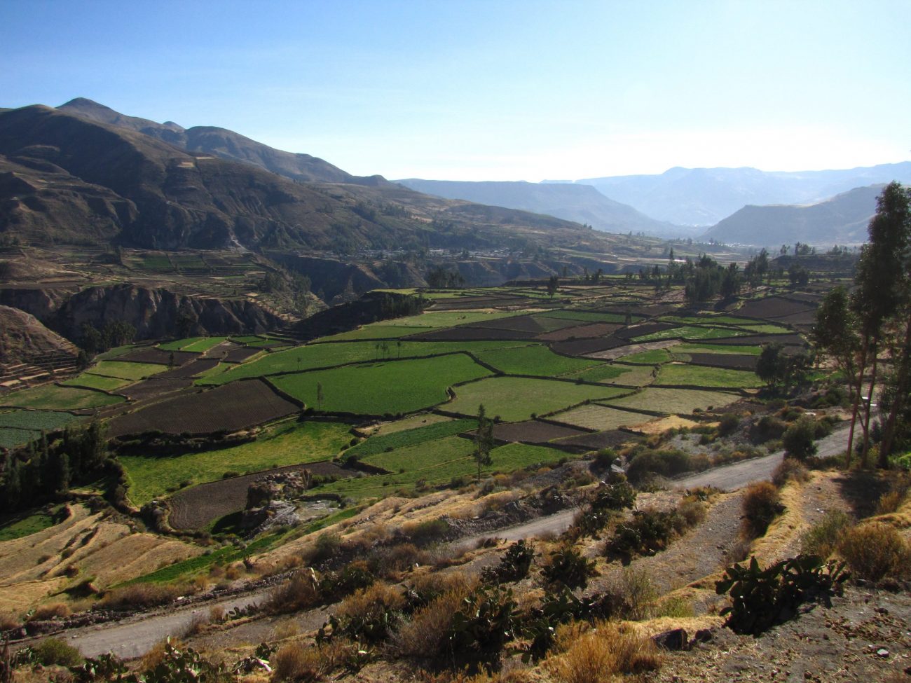 Colca Canyon