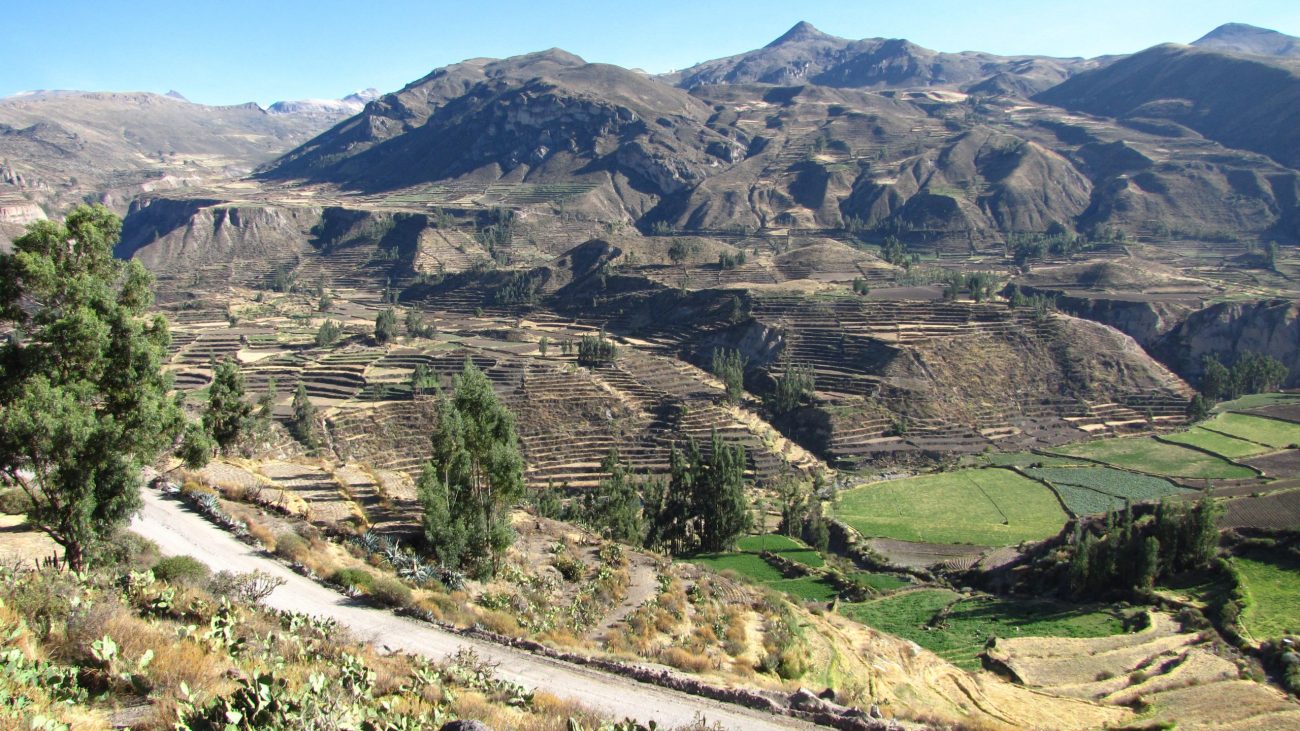 Colca Canyon