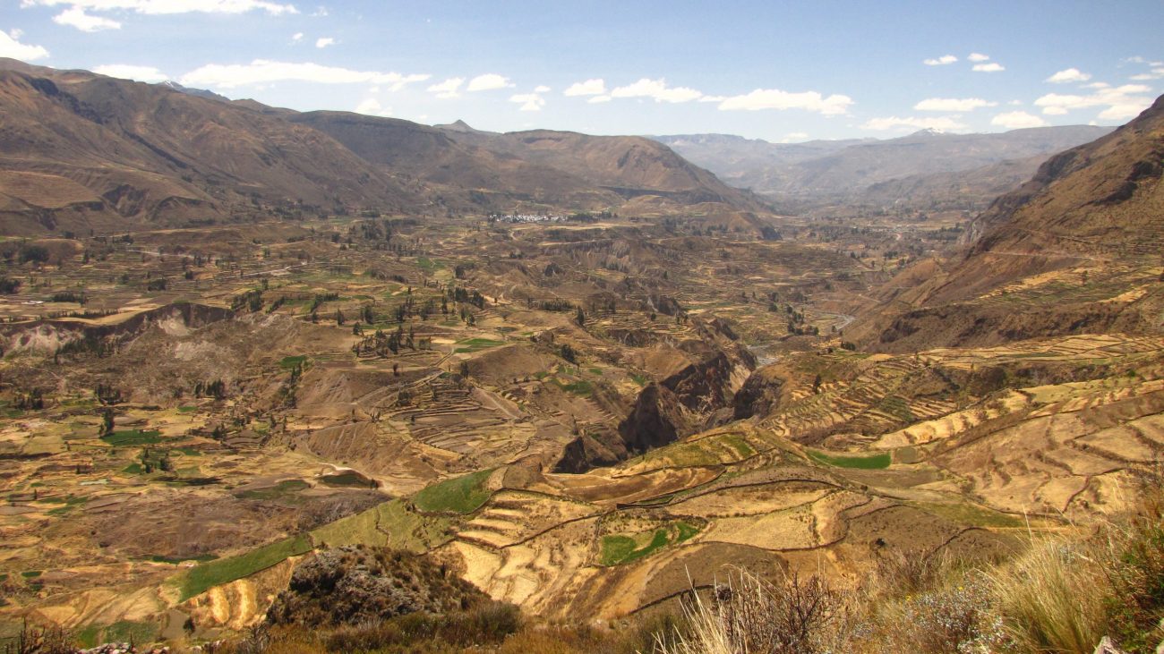 Colca canyon