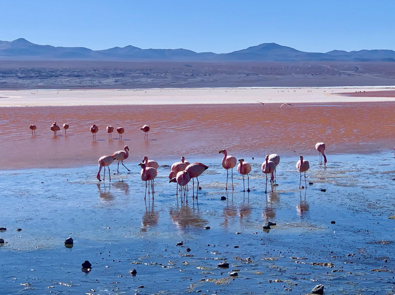 Salar de Uyuni