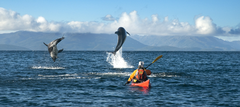 Punta Arenas