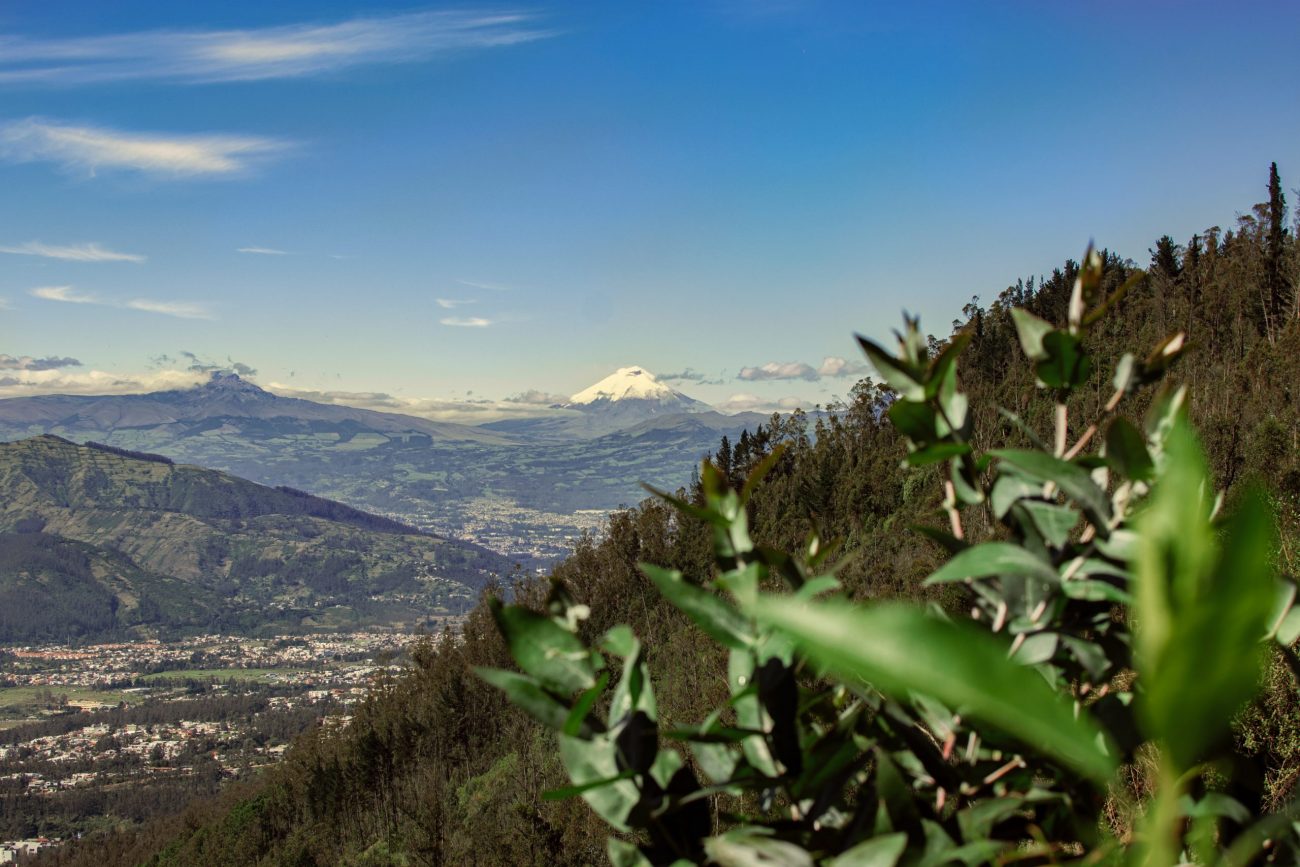 Quito