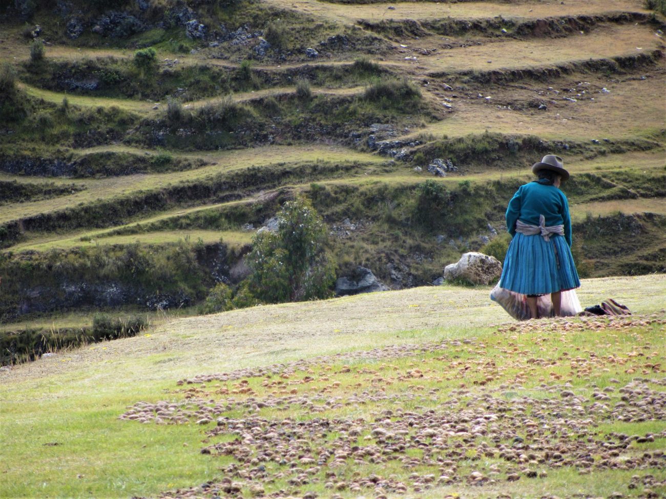 Posvátné údolí Inků