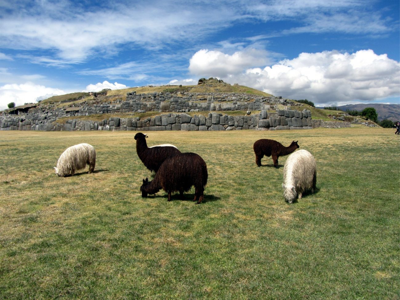 Cusco