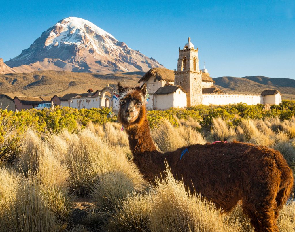 Sajama-National-Park-and-Natural-Tomarapi-Bolivia-unsplash-1024x805