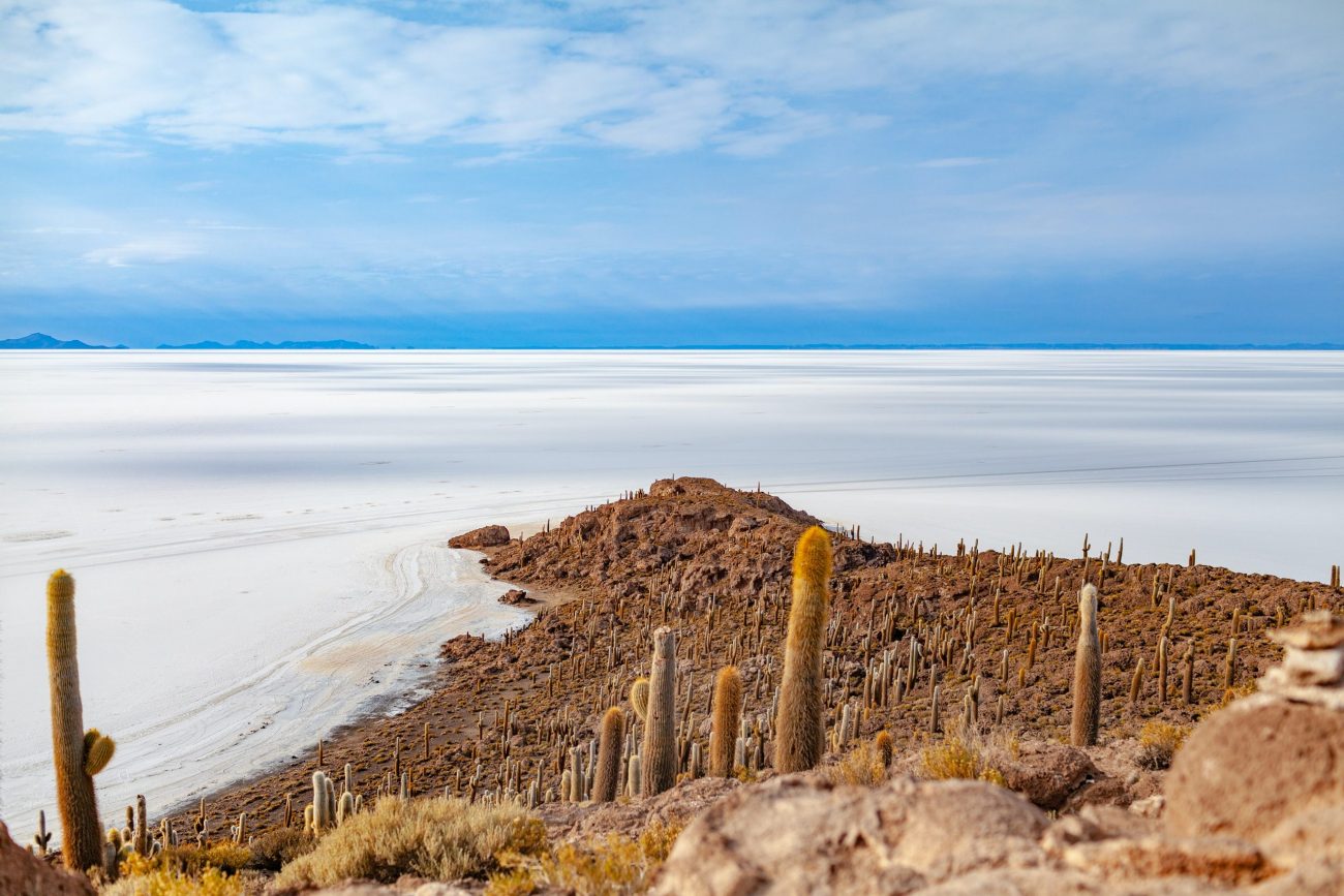 Salar de Chiguana, laguna Hedionda