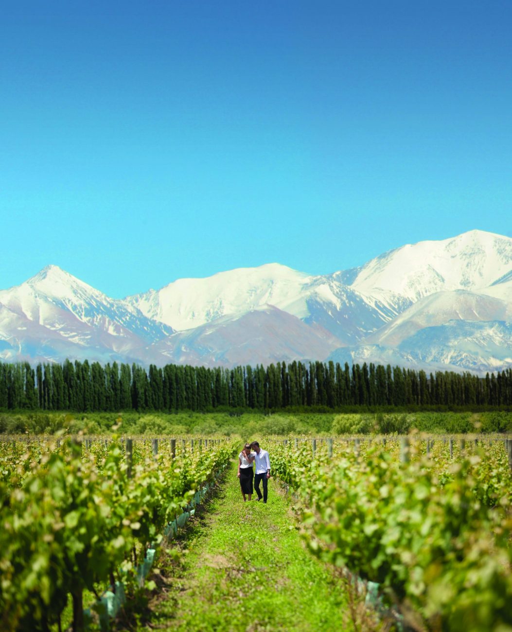 Mendoza