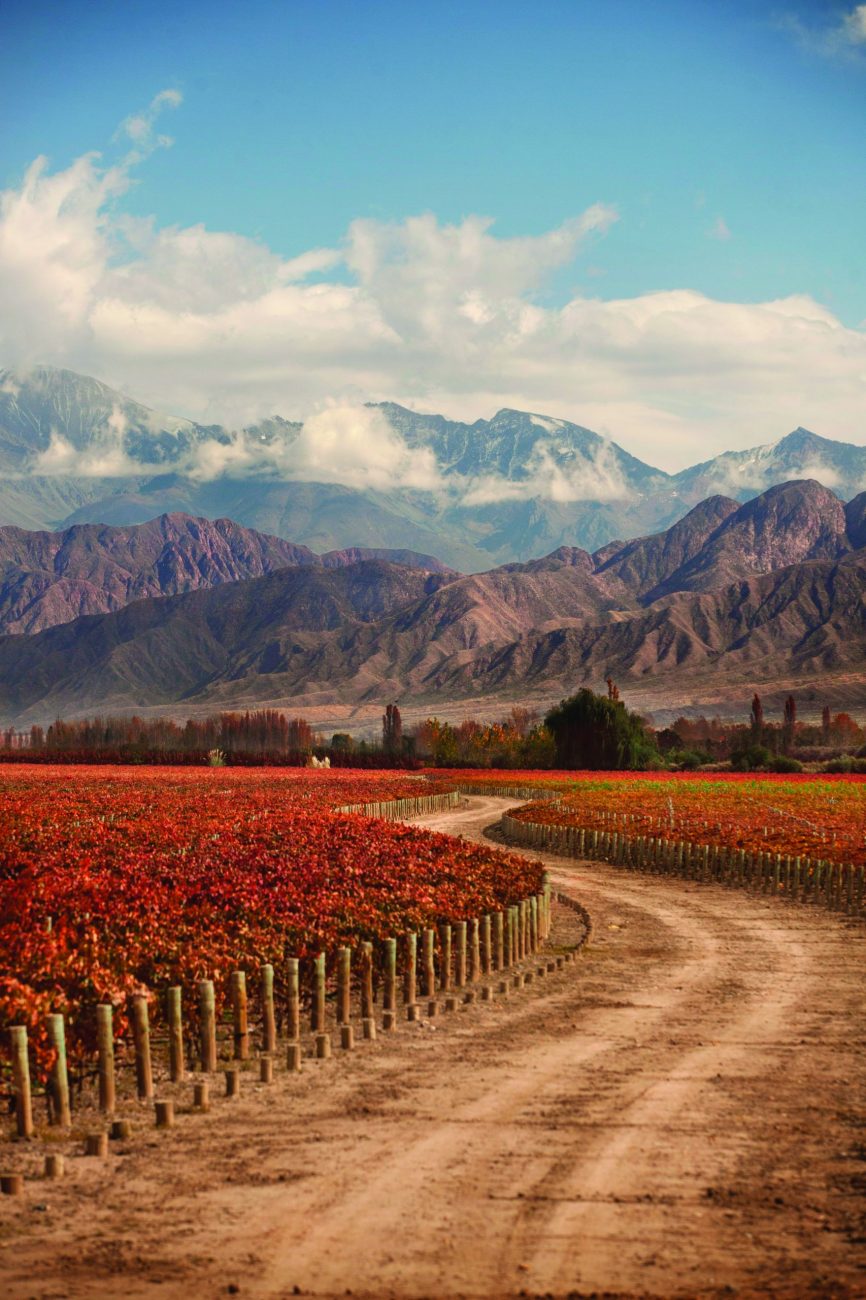 Mendoza