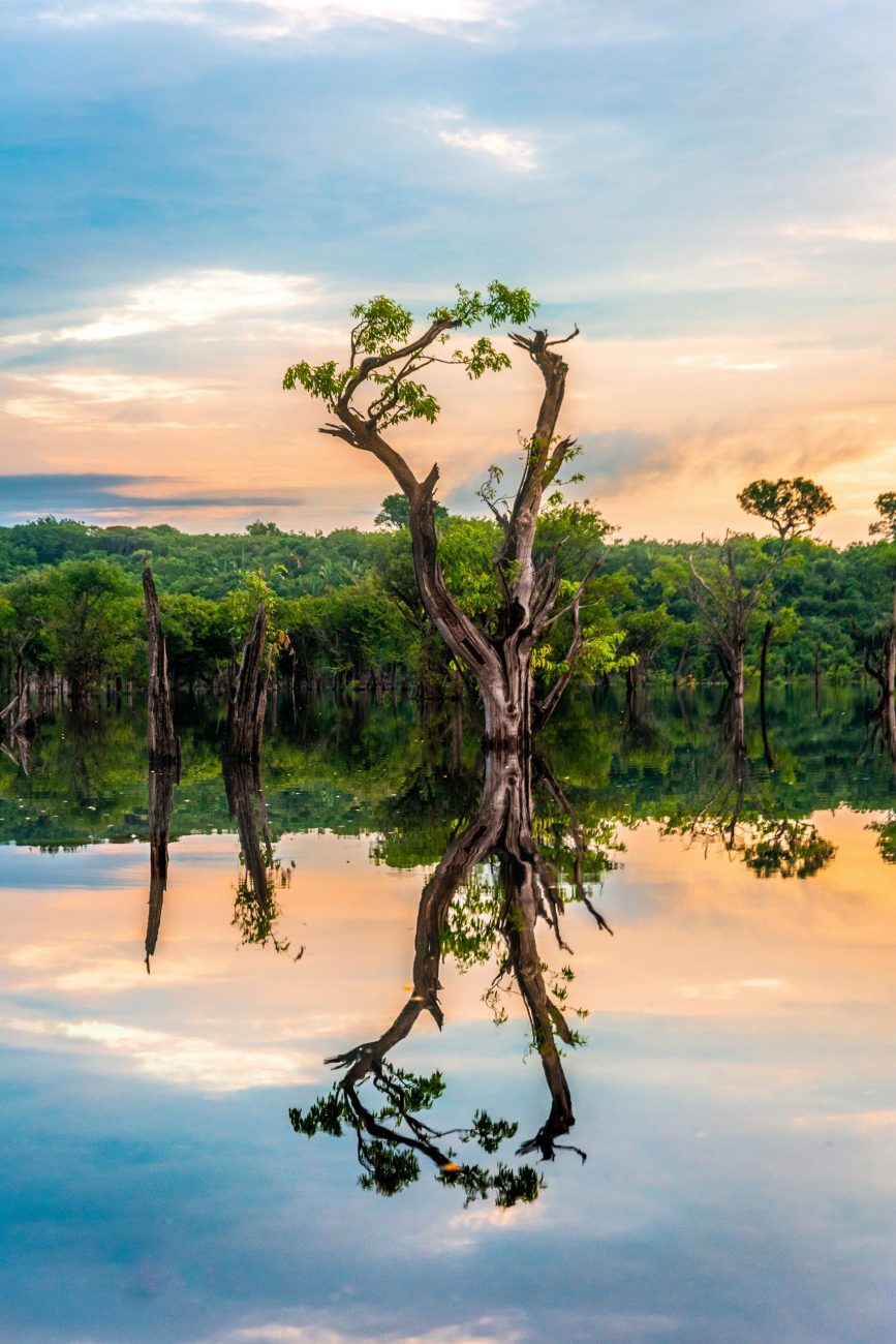 Cuyabeno Reserve, Amazonie