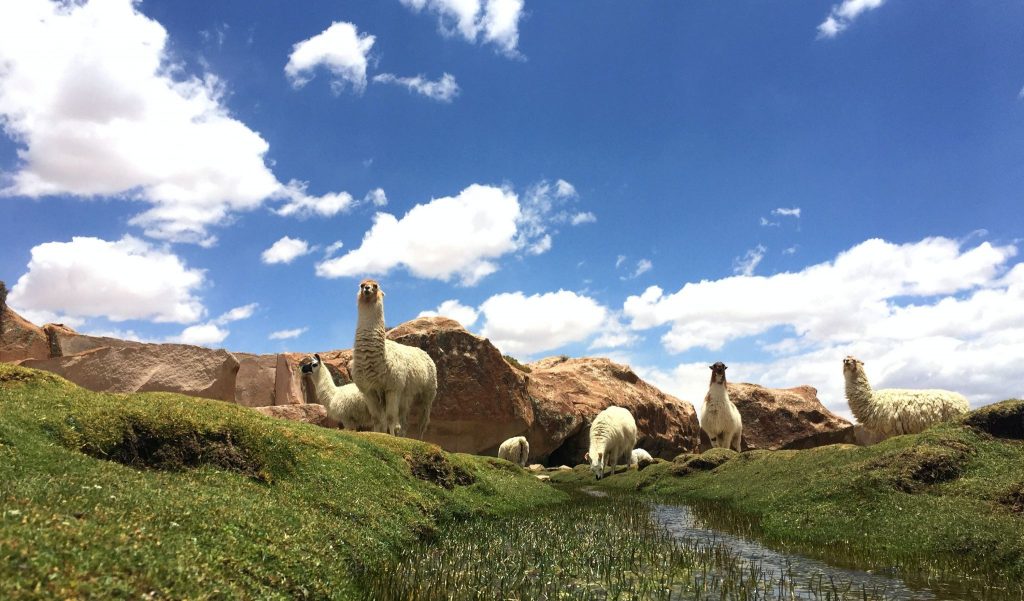 bolivia-1024x601