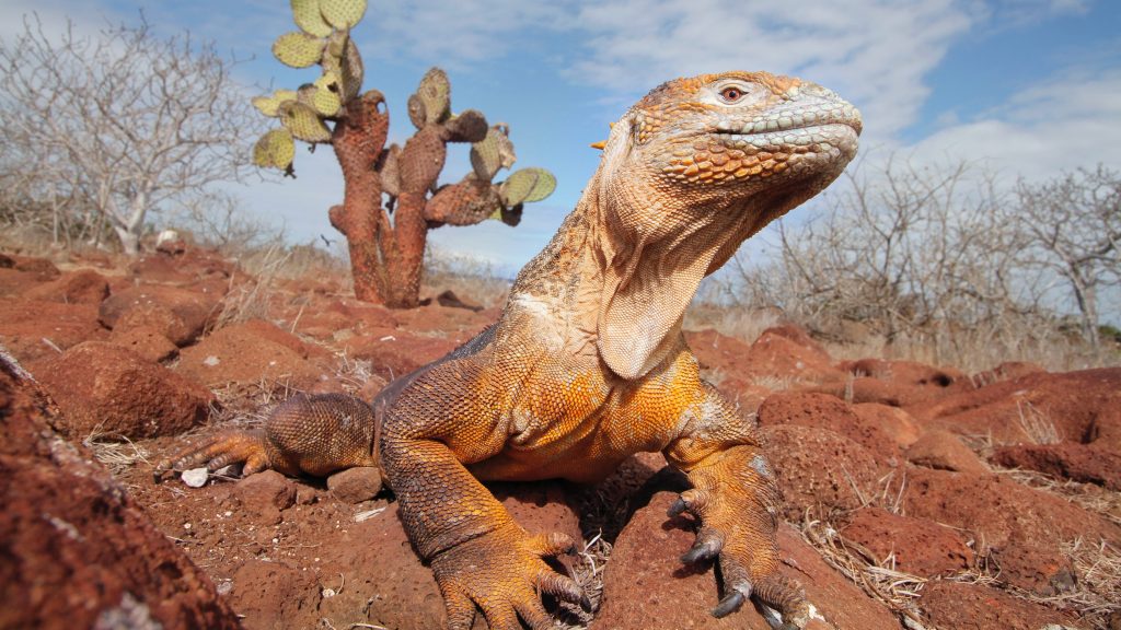 Ekvádor A Galapágy