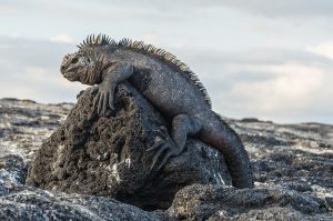 Luxusní katamarán Journey I – poznávací zájezd