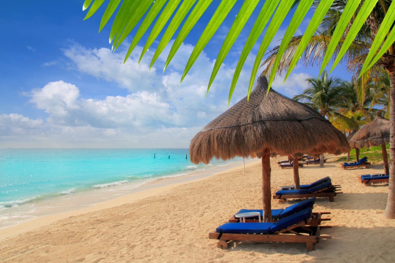 Mayan Riviera beach palm trees sunroof Caribbean