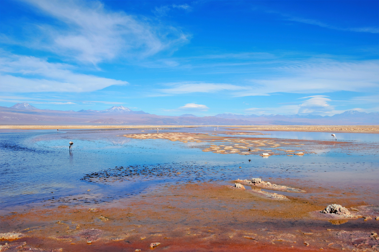 Laguna Chaxa in the National reserve Los Flamencos