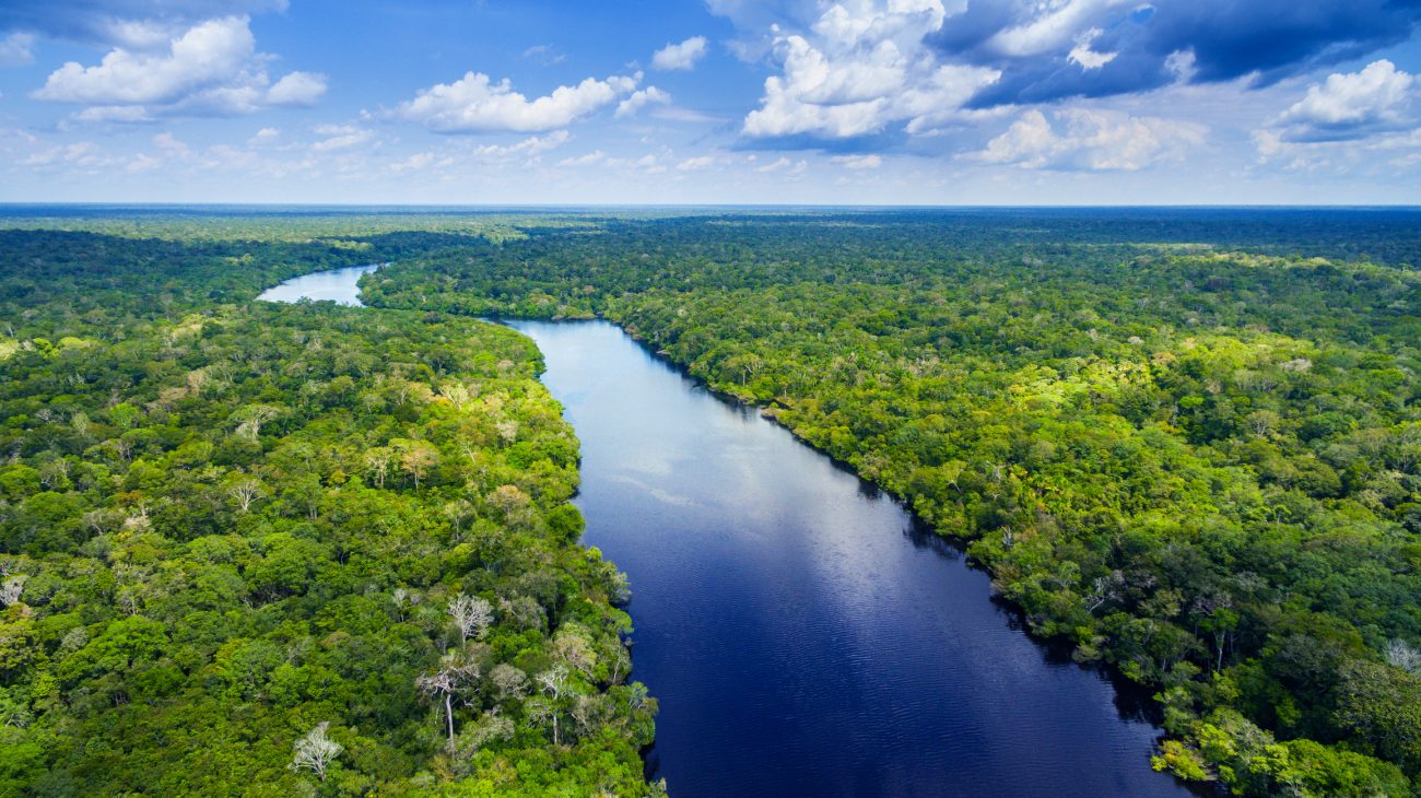 Cuyabeno Reserve, Amazonie