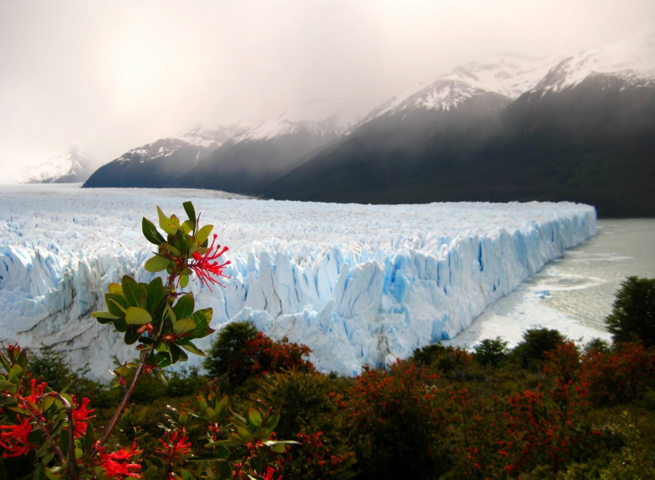 Ledovec Perito Moreno