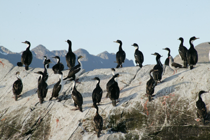 Puerto Madryn