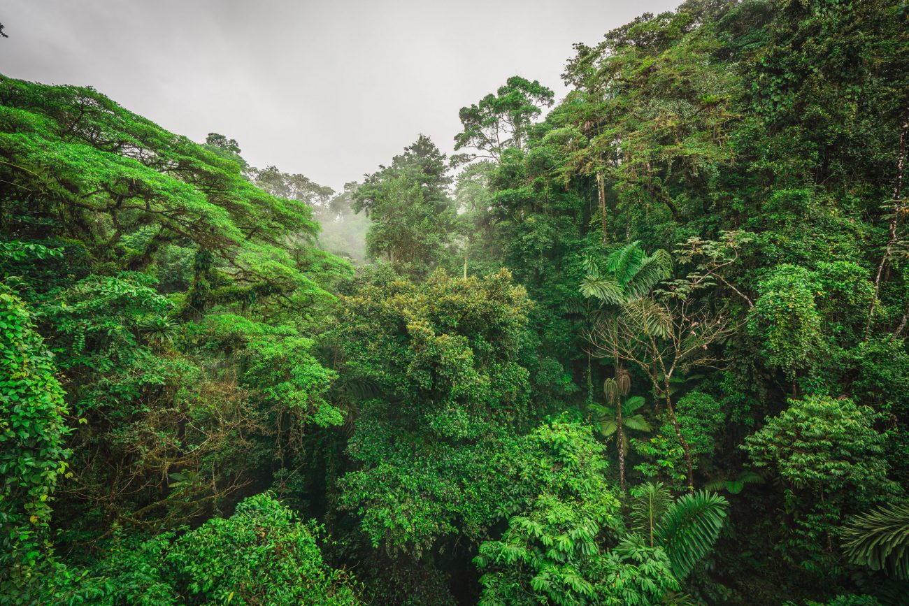 Arenal, Río Celeste, Monteverde