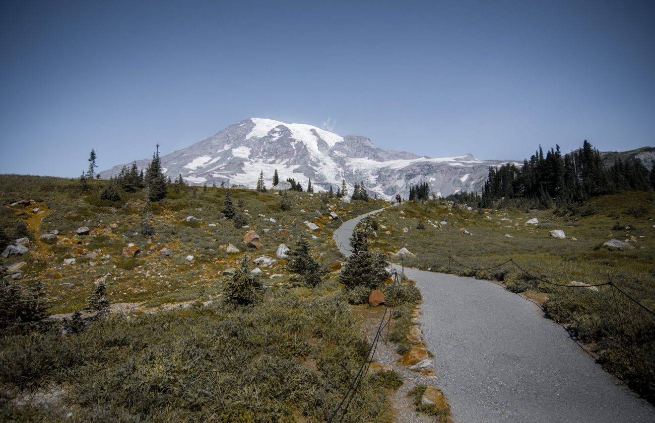 NP Mt. Rainier