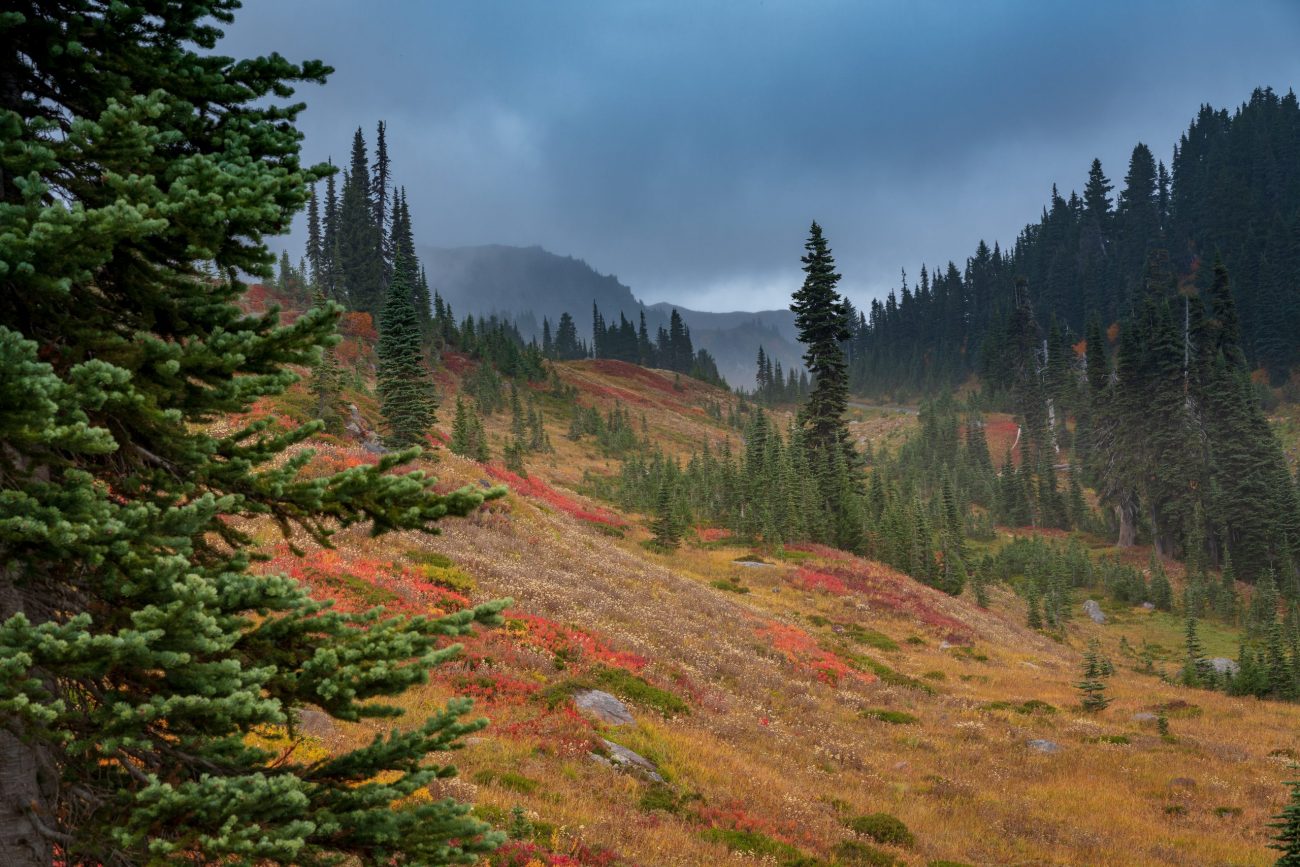 Mount Rainier National Park, United States-unsplash (2)