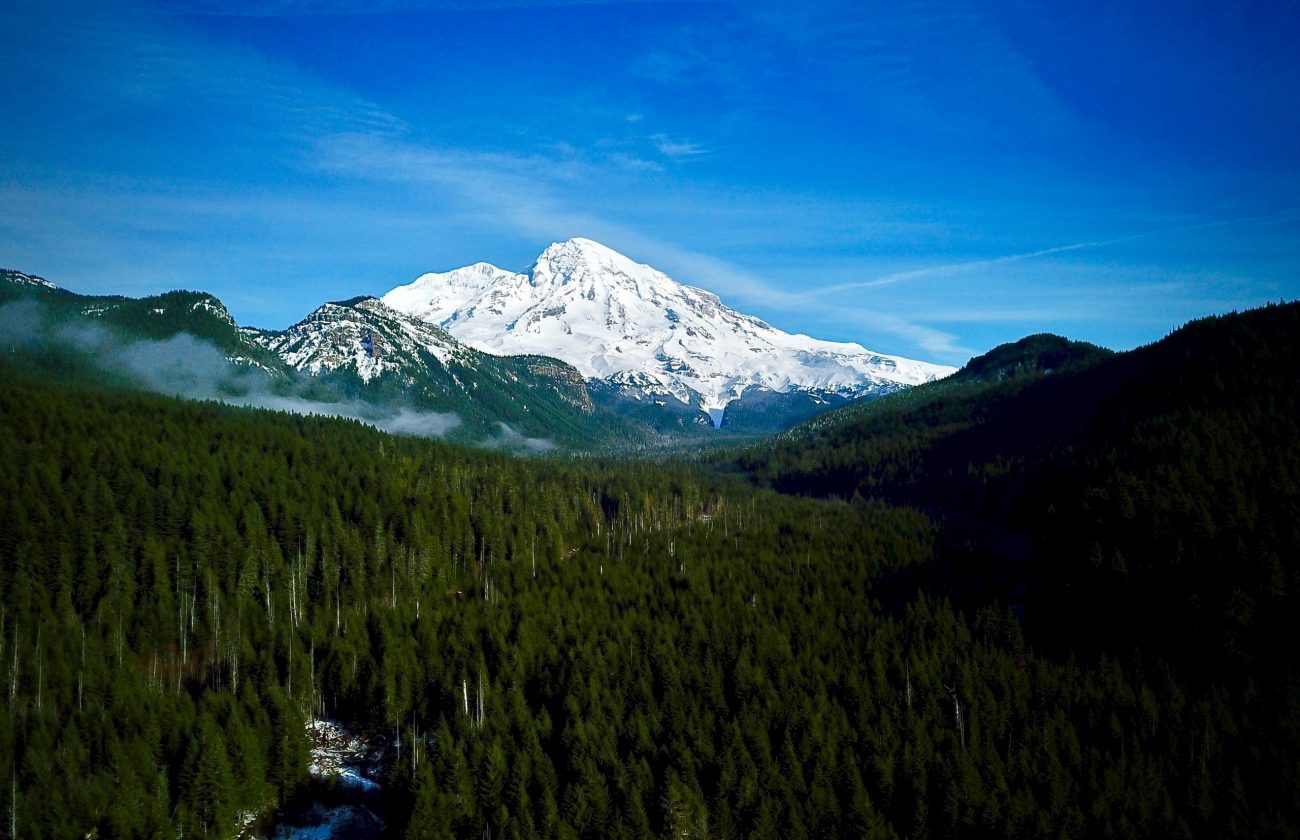 NP Mt. Rainier