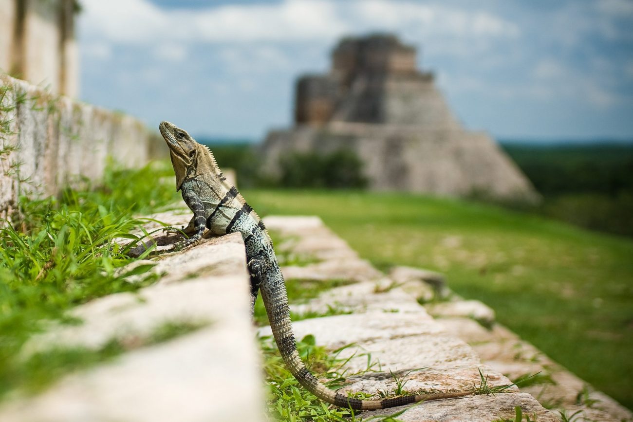 Uxmal Yucatan Ruinas, Uxmal, Mexico-unsplash
