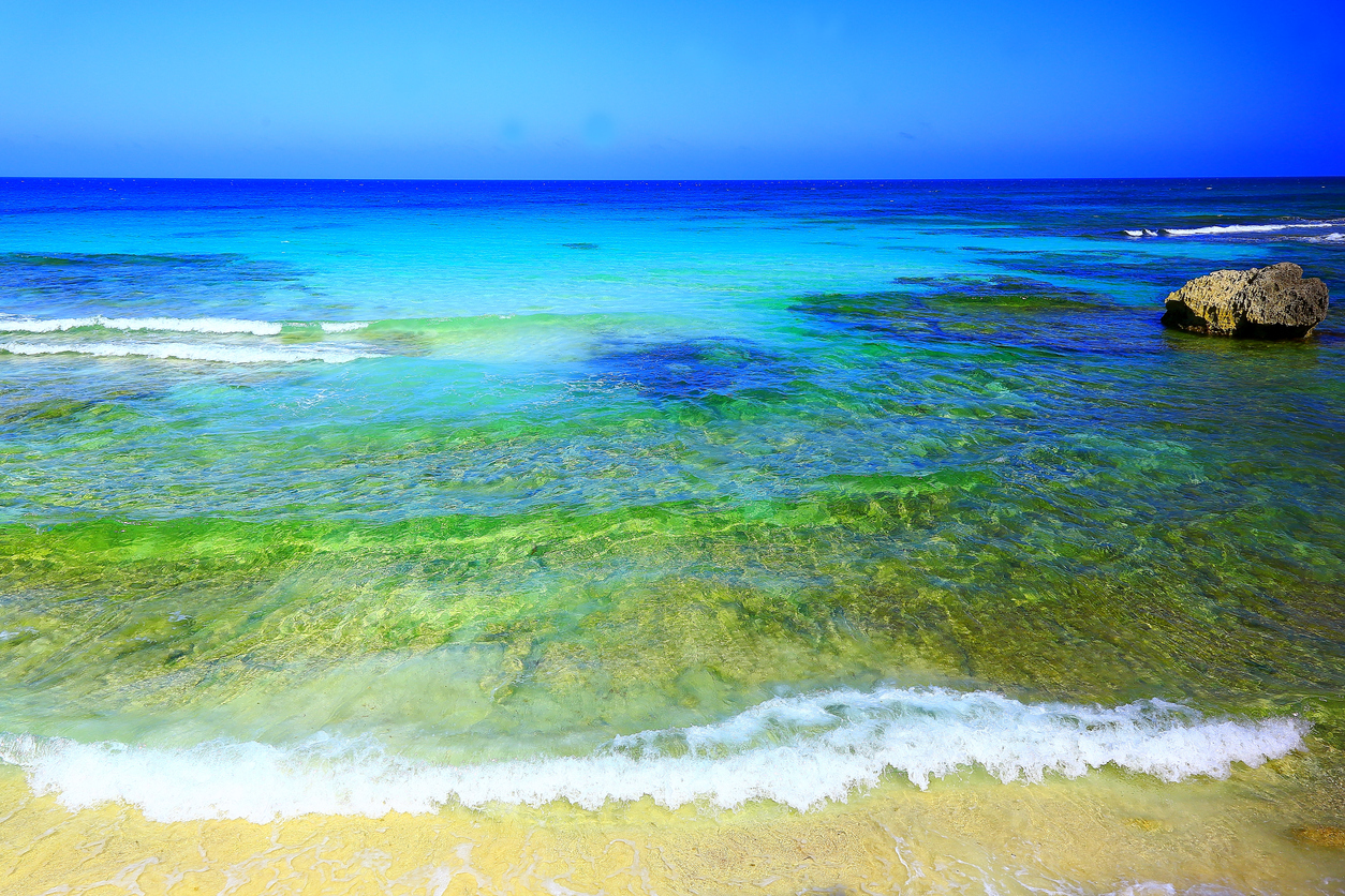 Idyllic deserted turquoise beach in Cancun, Mexican Caribbean