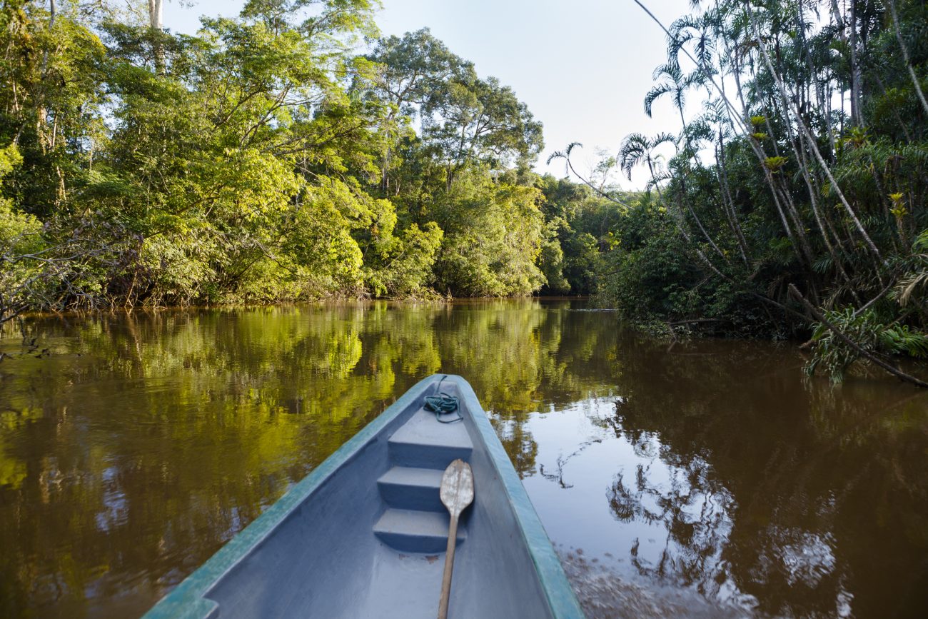 Amazonie, Manaus